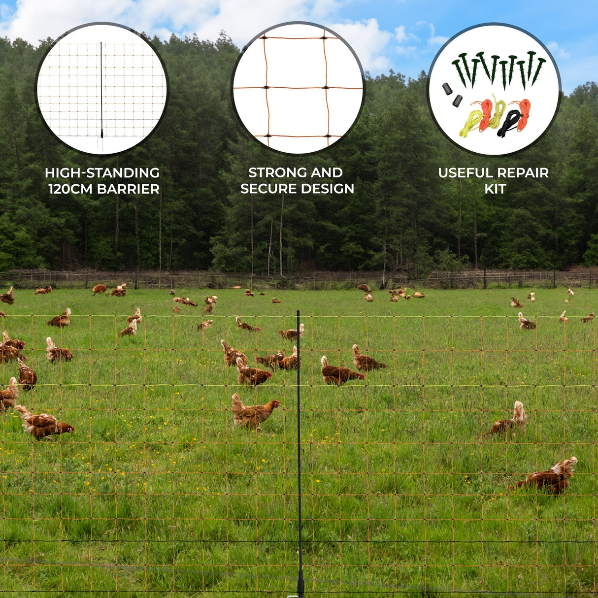 Electric poultry netting in green, 50m long, features a 120cm high barrier, ideal for securely containing chickens in open fields
