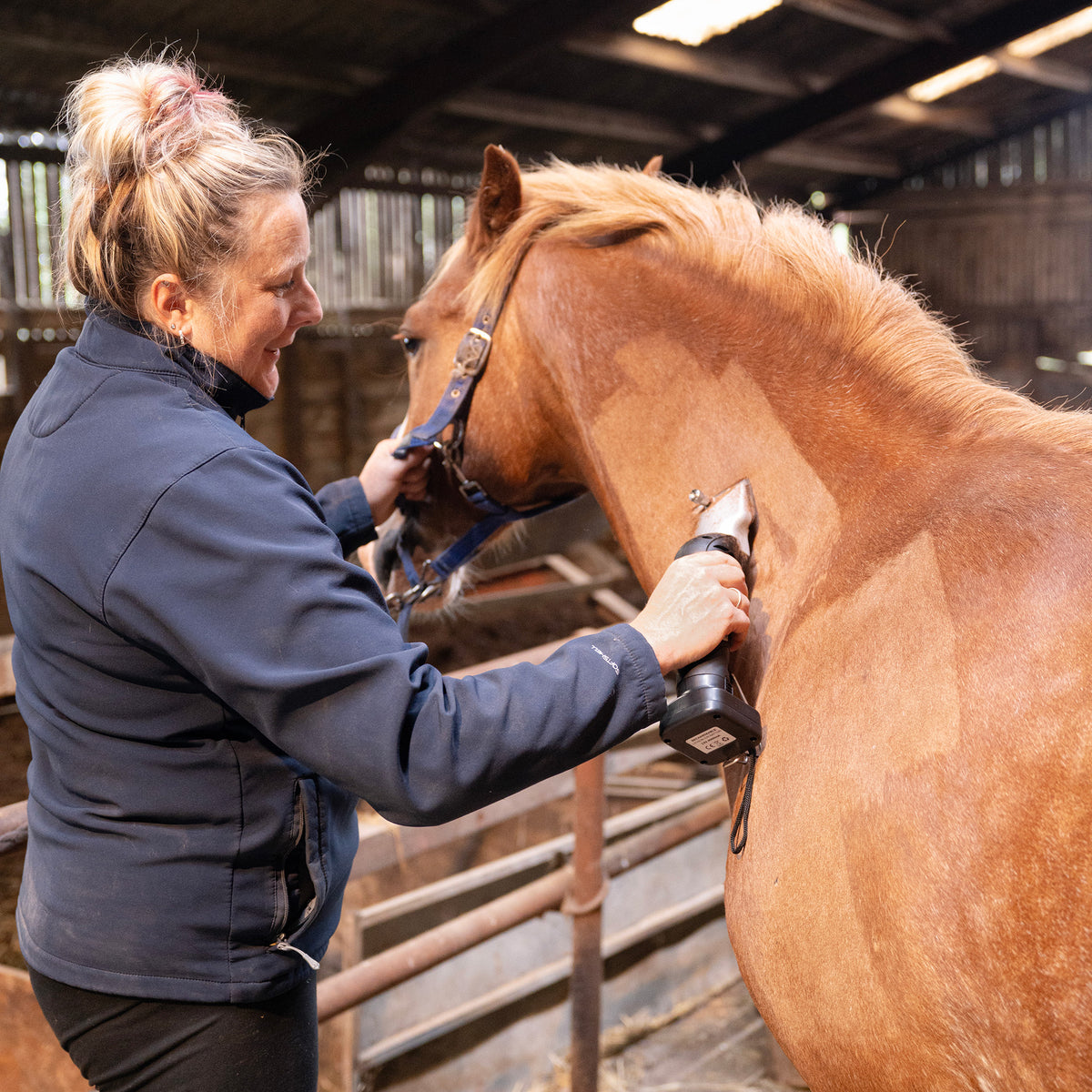 A woman uses cordless black horse clippers to groom a chestnut horse in a rustic barn, showcasing smooth, sleek fur and focused care