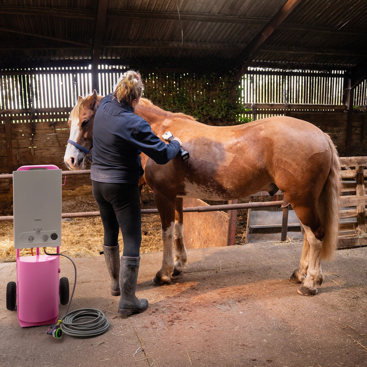 A person grooming a brown horse in a stable, using a pink portable washing machine with a hose on the ground