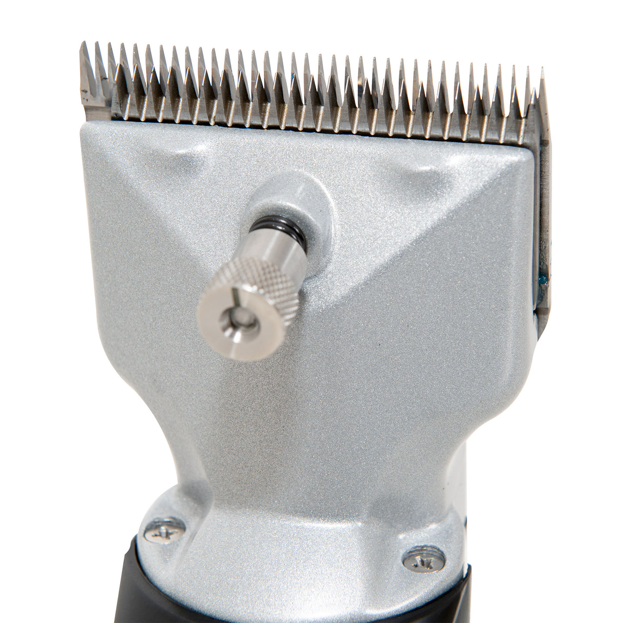 Horse Shower & Cordless Clippers – Red