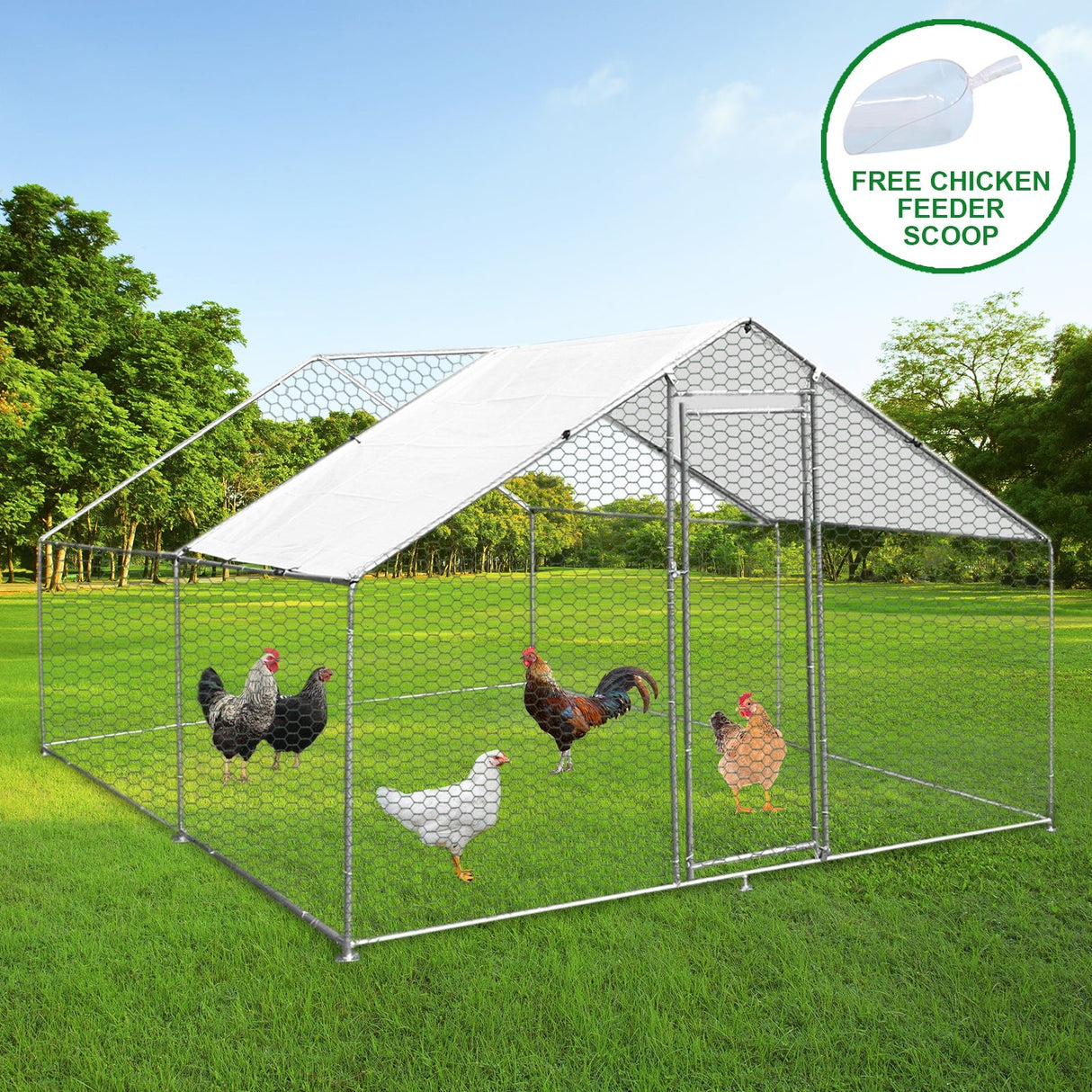 Spacious 3m x 4m x 2m chicken run with a sturdy metal frame, hexagonal wire mesh, and a protective white roof, featuring chickens inside