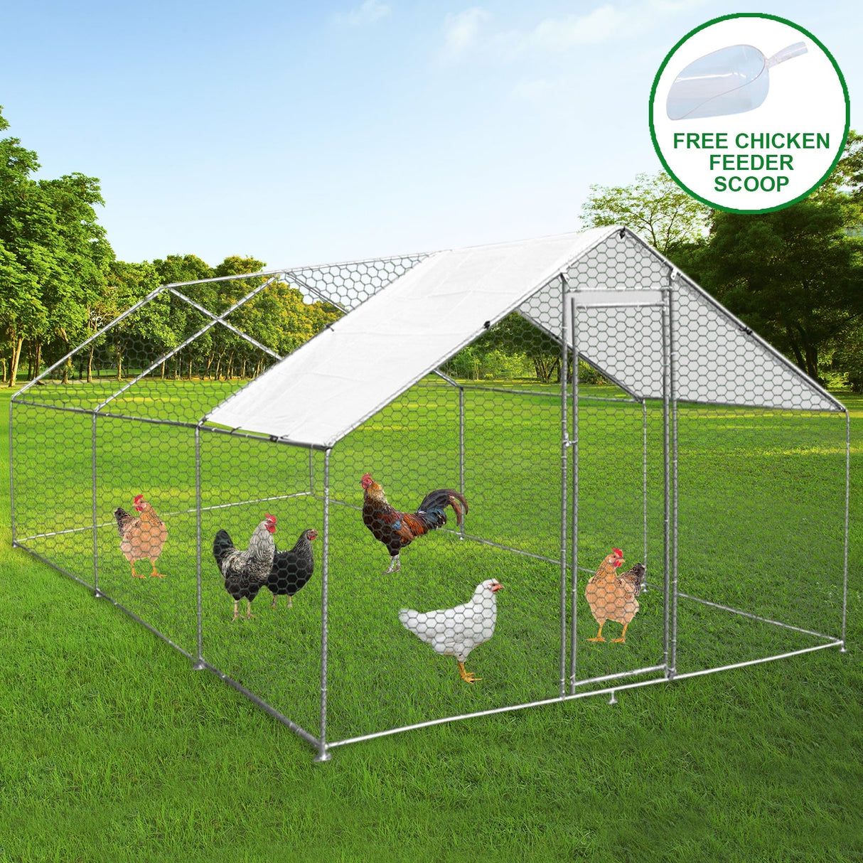 Spacious 4m x 6m x 2m chicken run with a sturdy metal frame, wire mesh, and a protective roof, featuring various chickens inside
