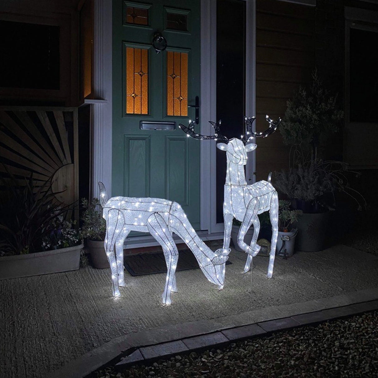 Illuminated large stag and doe reindeer set with white LED lights, standing on a stone pathway in front of a green door