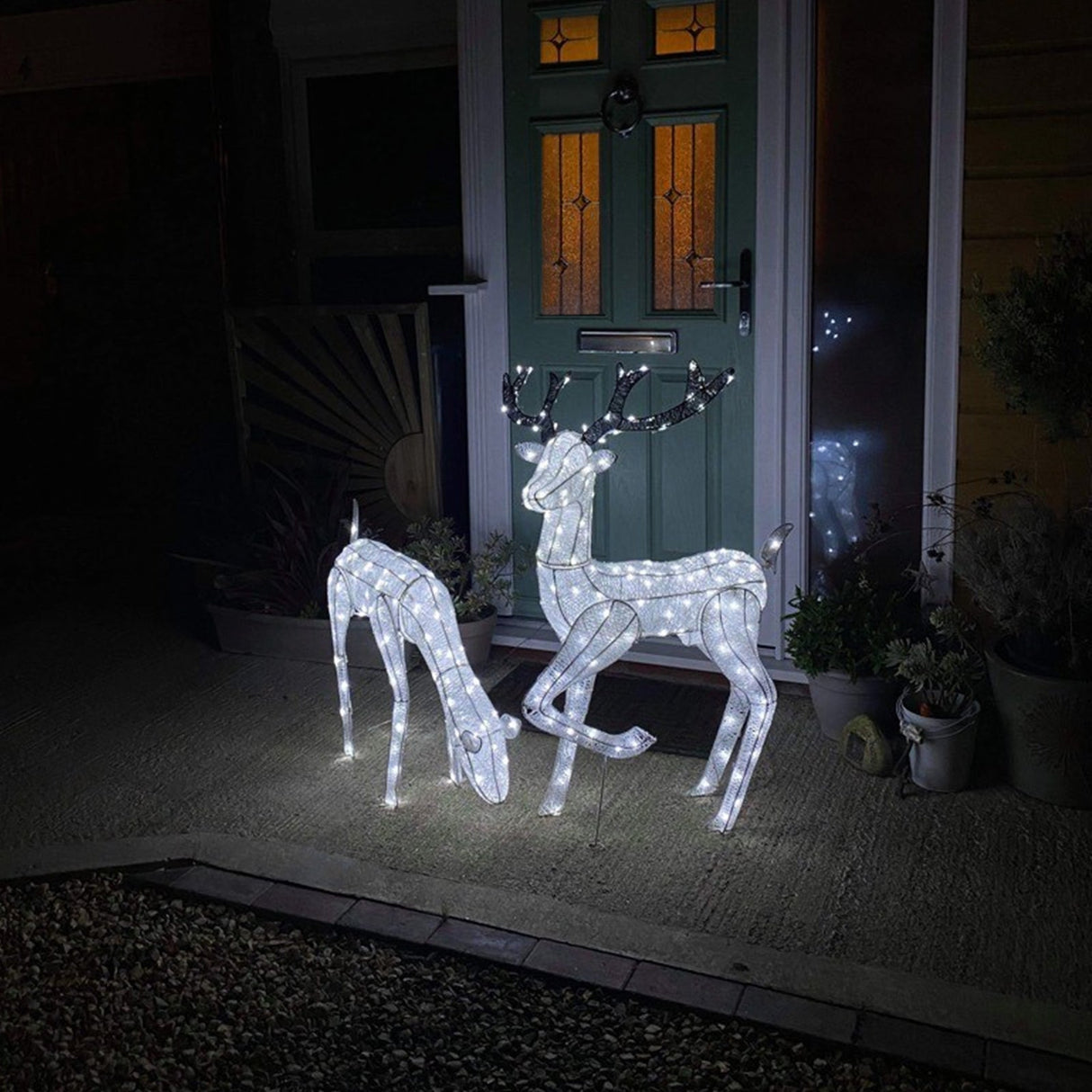 Large light-up stag and doe reindeer set with white LED lights, showcasing elegant antlers and a festive glow on a porch