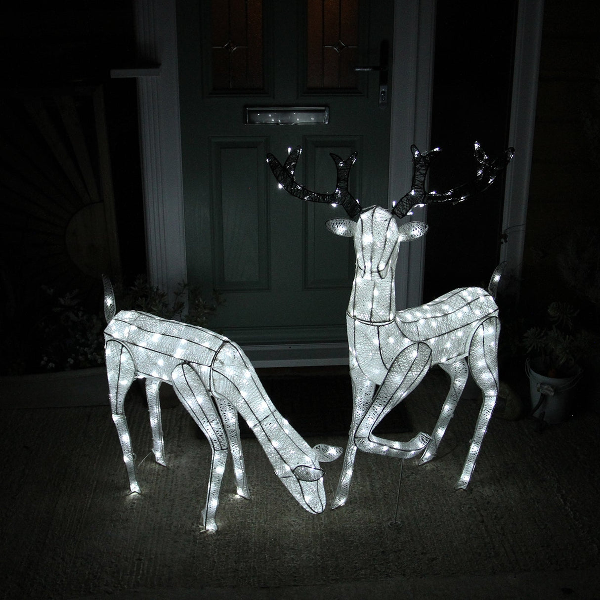 Large light-up stag and doe reindeer set with white LED lights, intricate wireframe design, standing on a porch near a green door