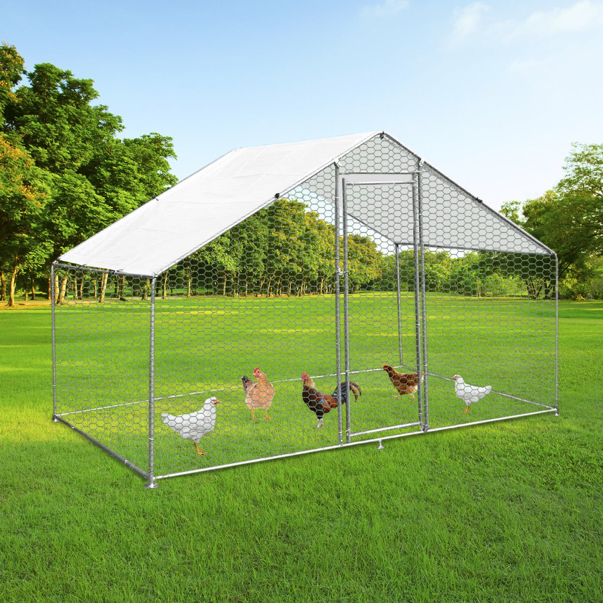 Spacious chicken run featuring a sturdy metal frame, hexagonal wire mesh, and a sloped roof, set in a green outdoor environment