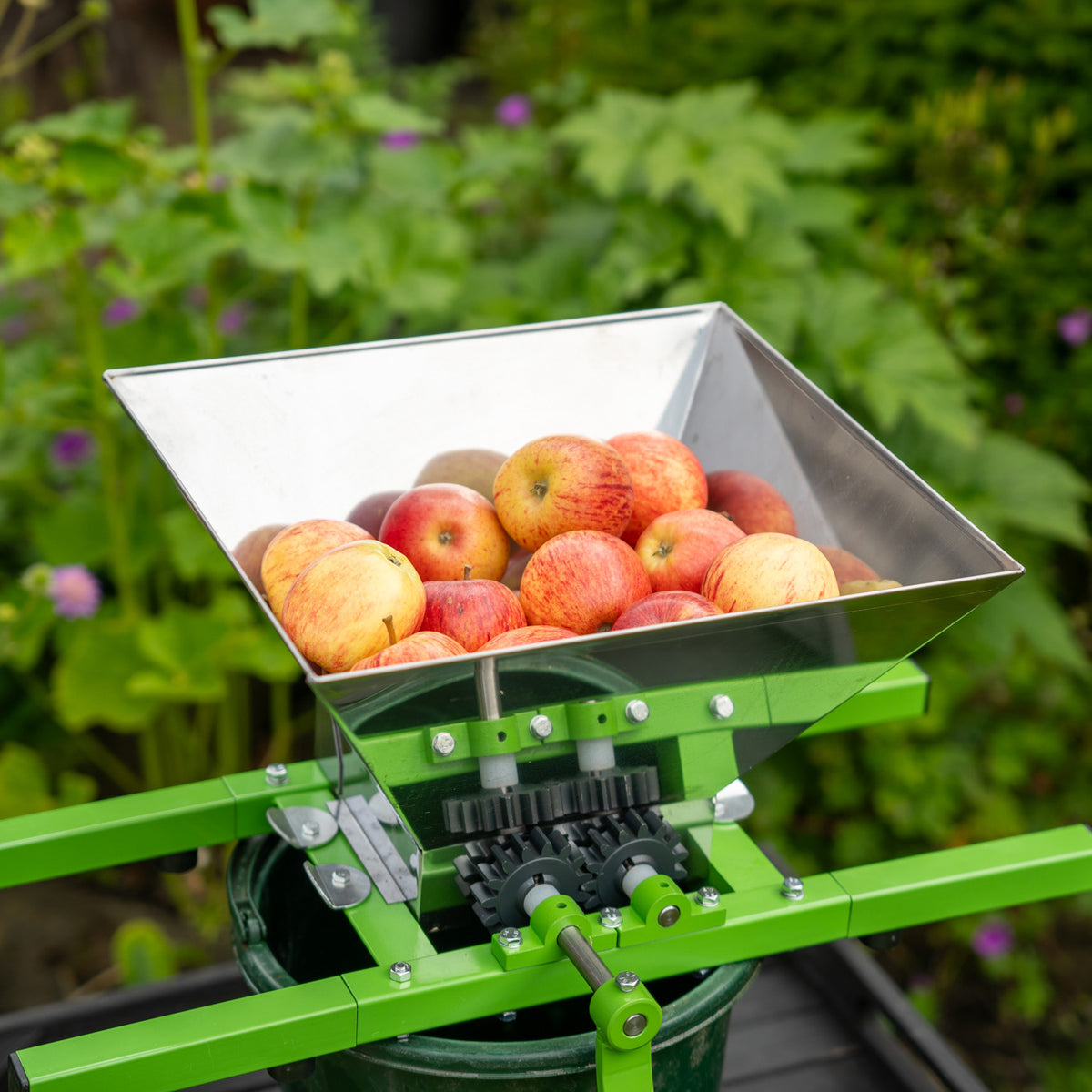 Stainless steel fruit crusher with a green frame, filled with red apples, ready for juicing or cider making in a garden setting