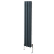 Sleek anthracite grey oval column radiator with vertical panels, standing on chrome feet, ideal for modern interiors