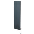 Sleek anthracite grey oval column radiator with vertical fins, standing on silver valves, perfect for modern interiors