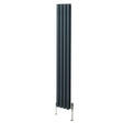 Tall anthracite grey oval column radiator with vertical fins and sleek valves, designed for modern heating solutions in stylish interiors