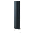 Tall anthracite grey oval column radiator with vertical slats, featuring sleek metal valves and a modern design for efficient heating