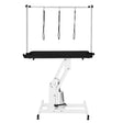 White hydraulic grooming table with a sturdy black tabletop, adjustable height, and three overhead grooming loops for secure pet handling