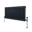 Traditional anthracite grey 2 column radiator, 300 x 832mm, featuring a sleek design with rounded edges and polished valves