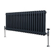Anthracite grey traditional 2 column radiator with a sleek, ribbed design and polished valves, measuring 300 x 1012mm