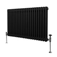 Traditional black 2 column radiator with a sleek, matte finish, featuring vertical tubes and chrome valves, ideal for classic interiors