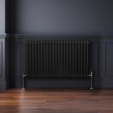 Traditional 2 Column Radiator - 600 x 1012mm - Black