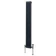 Traditional anthracite grey 2 column radiator, 1800 x 202mm, featuring a sleek vertical design and polished metal valves