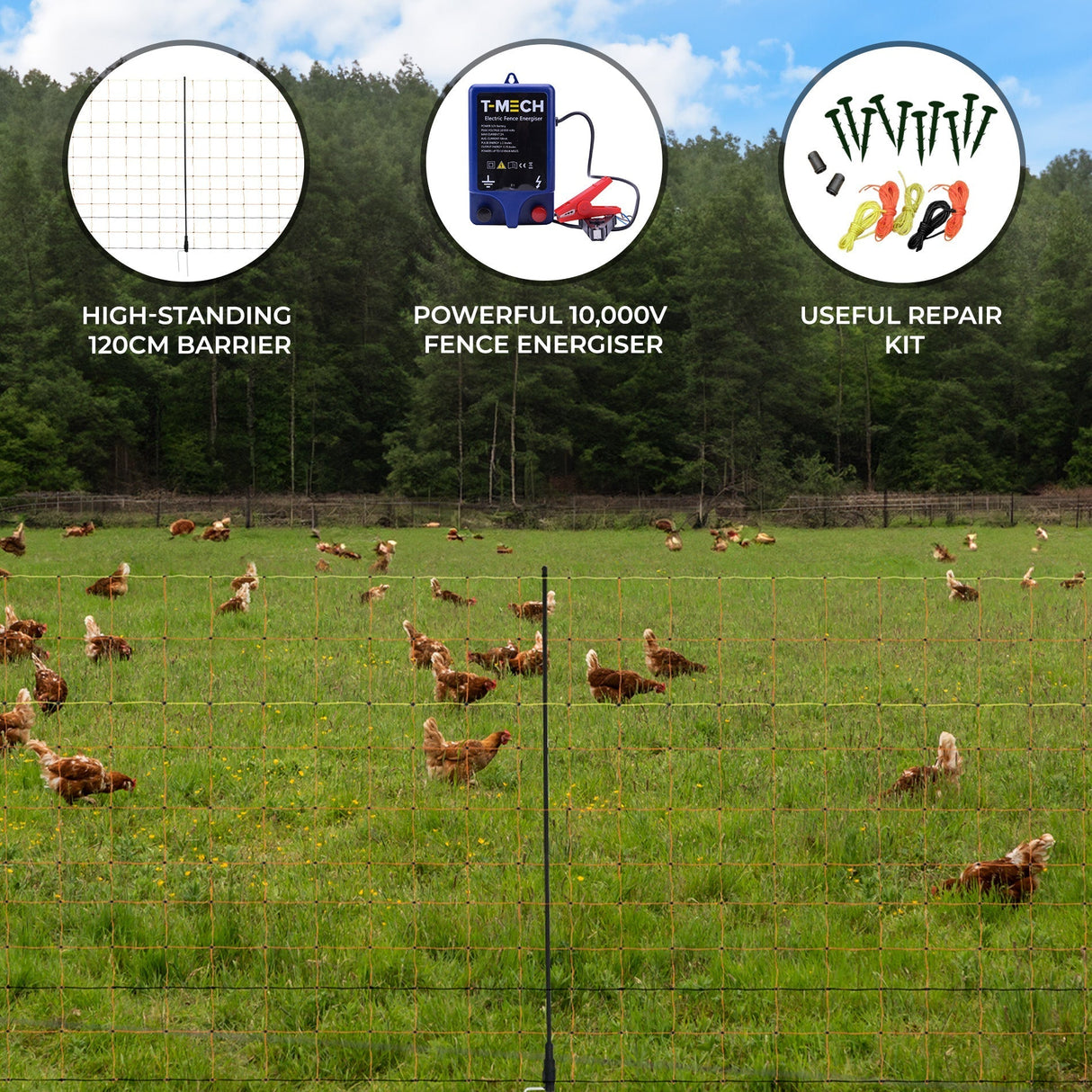 Electric fence energiser and poultry netting in a green field, featuring chickens, a 10,000V energiser, and a repair kit