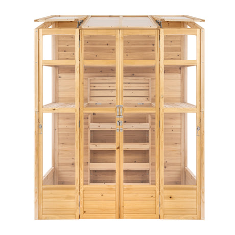 Victorian greenhouse made of natural wood with clear glass panels, featuring multiple shelves and a spacious interior for plants
