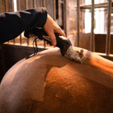 Cordless black horse clippers in use, trimming a chestnut horse's coat, showcasing sleek design and ergonomic grip