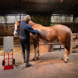 A person grooming a chestnut horse in a barn, with a portable washing station featuring a hose and a red cart nearby