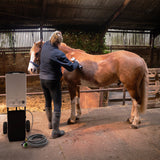 Cordless black horse shower and clippers in use, grooming a chestnut horse in a rustic barn with straw-covered floor