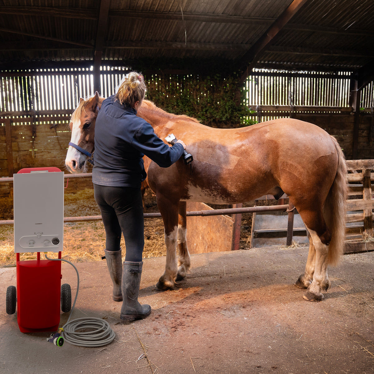 A person grooming a brown horse in a barn, using a red and white grooming machine with a hose, surrounded by straw and wooden stalls