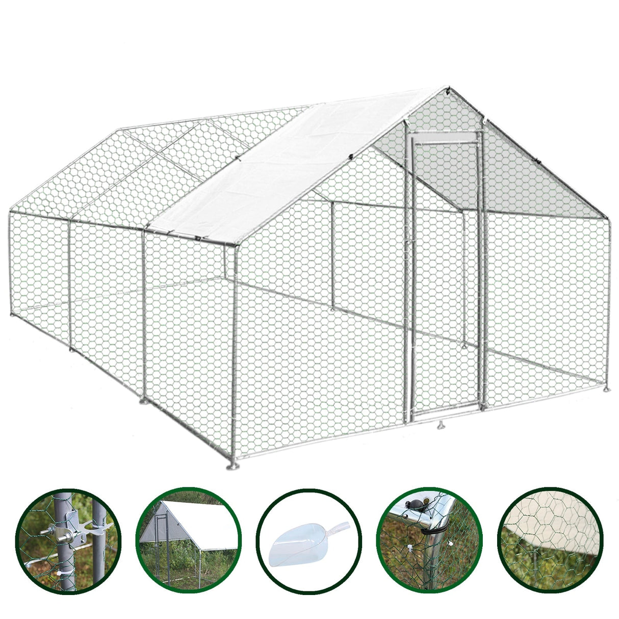 Spacious 4m x 6m x 2m chicken run with sturdy hexagonal wire mesh, a sloped roof, and a secure entrance door for easy access