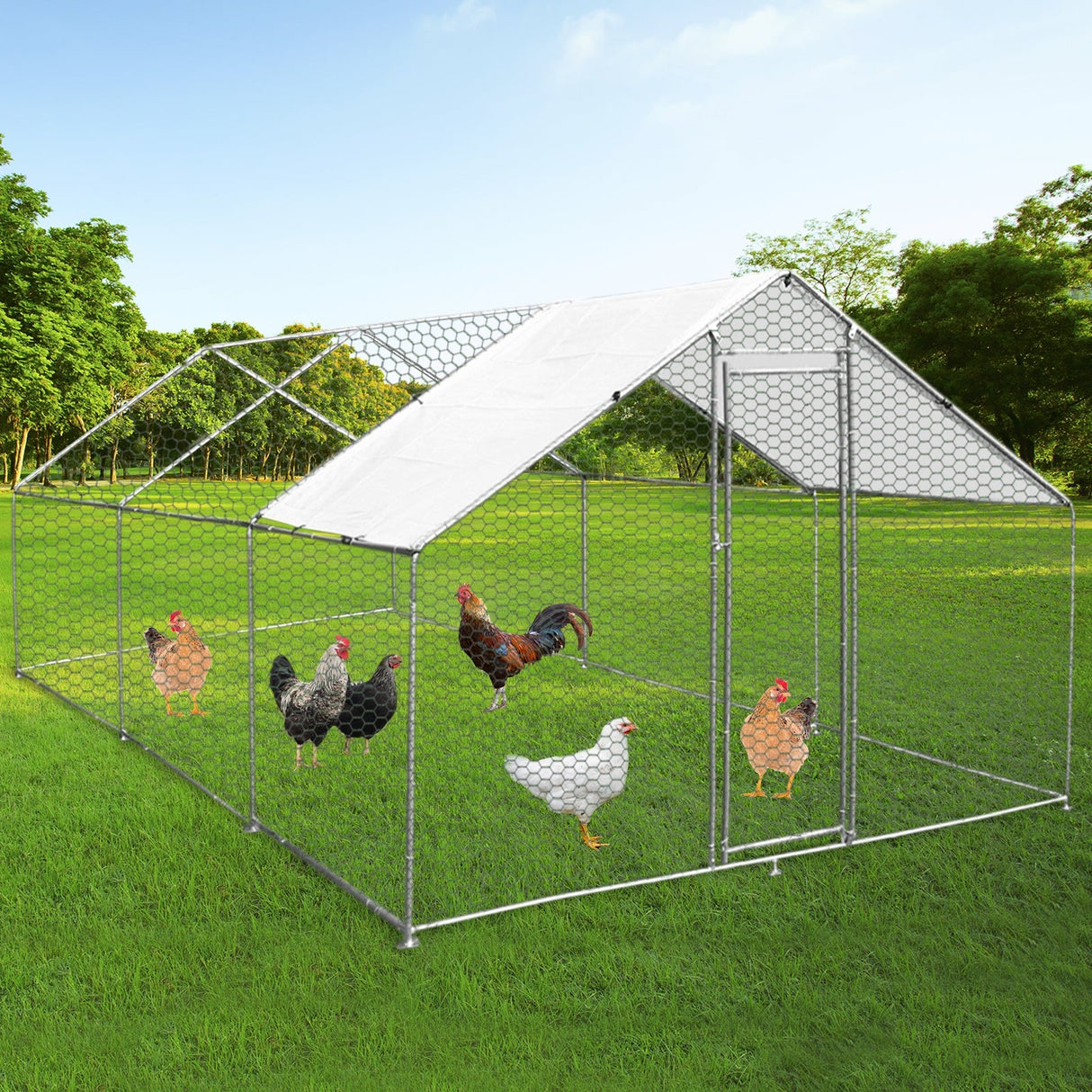 Spacious chicken run measuring 4m x 6m x 2m, featuring a sturdy metal frame, hexagonal wire mesh, and a white waterproof roof, set on lush green grass