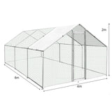 Spacious chicken run measuring 4m x 6m x 2m, featuring a sturdy hexagonal wire mesh structure and a sloped roof for ventilation