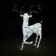 Large light-up stag reindeer with a sleek white frame, adorned with twinkling LED lights, standing gracefully on a gravel surface