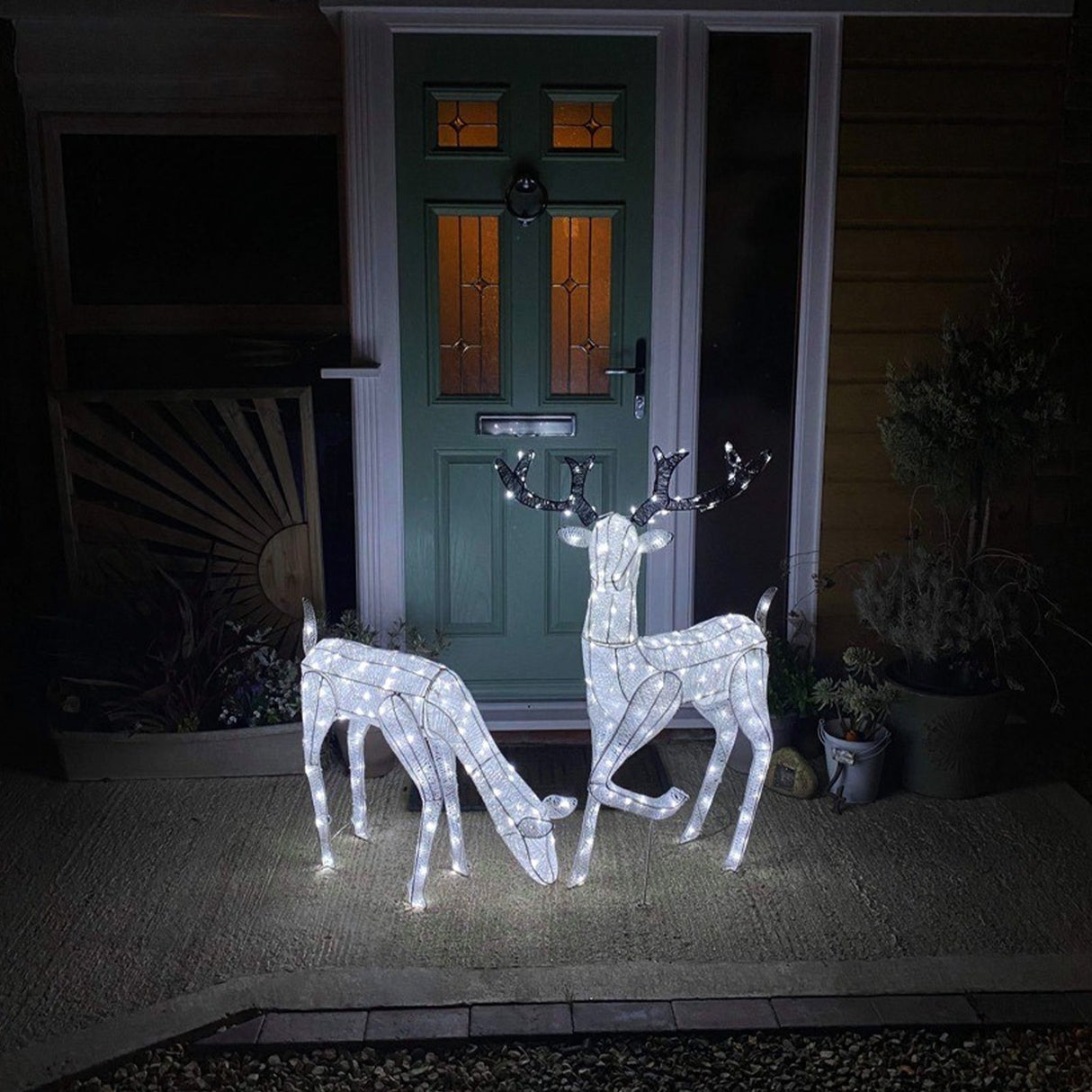 Large light-up stag and doe reindeer set with white LED lights, standing on a textured mat in front of a green door at night