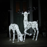 Large light-up stag and doe reindeer set with a shimmering white wire frame, featuring intricate details and glowing accents, perfect for festive decor