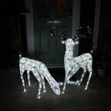 Large light-up stag and doe reindeer set with white LED lights, intricate wireframe design, standing on a porch near a green door