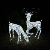 Large illuminated stag and doe reindeer set, featuring a sleek white design with glowing LED lights, perfect for festive decor