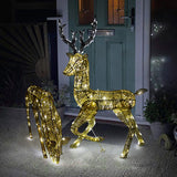 Gold stag and doe set illuminated with warm white lights, featuring intricate wire detailing and a festive design, perfect for holiday decor