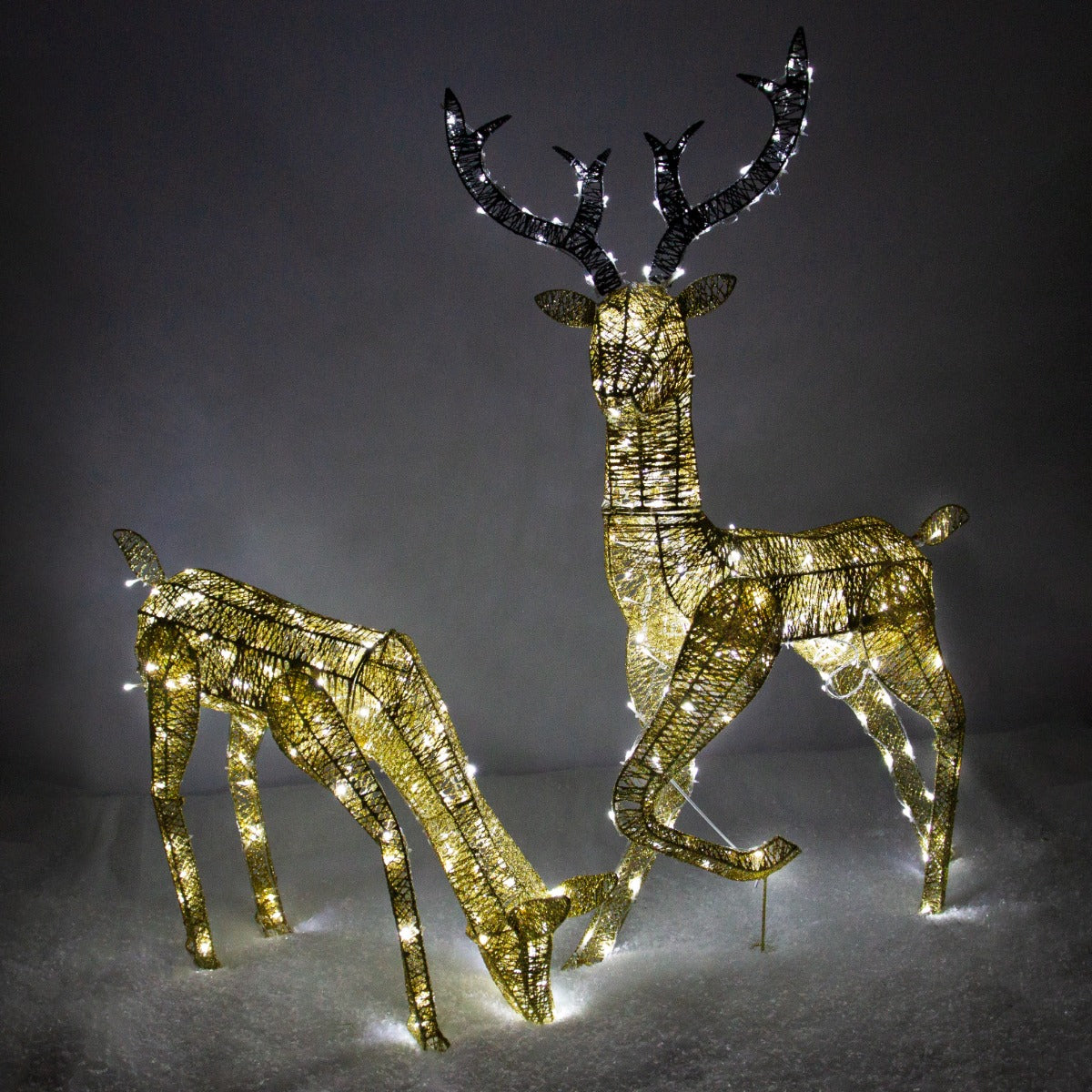 Glowing gold stag and doe reindeer set, intricately woven with warm white lights, perfect for festive outdoor or indoor decor
