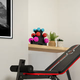 Colorful dumbbells in various sizes arranged on a shelf beside a workout bench, with a small potted plant adding greenery to the scene
