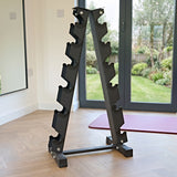 Black metal dumbbell rack with multiple slots, positioned in a bright room with large windows overlooking a green garden