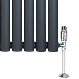Anthracite grey oval single column radiator with smooth matte finish and chrome valve, measuring 600mm x 780mm, ideal for modern spaces