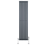 Anthracite grey oval single column radiator with sleek vertical lines and chrome valves, measuring 1600mm x 360mm, ideal for modern spaces