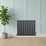 Flat single column radiator in anthracite grey, featuring sleek vertical slats, positioned beside a green potted plant on a wooden floor