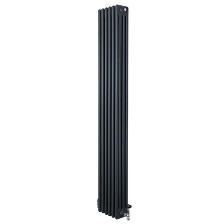 Tall anthracite grey traditional 4 column radiator with a sleek vertical design and polished valves, ideal for modern interiors