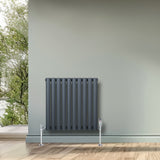 Anthracite grey oval single column radiator mounted on a wall, featuring sleek vertical lines and chrome valves, set against a light green backdrop