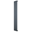 Sleek anthracite grey oval single column radiator, 1600 x 240mm, featuring a modern design with smooth, vertical lines and a matte finish