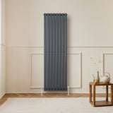 Sleek anthracite grey oval single column radiator, 1600 x 480mm, mounted on a light wall, enhancing modern interior decor