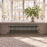 Traditional 2 Column Radiator - 300 x 1010mm - Raw Metal