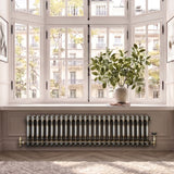 Traditional 2 Column Radiator - 300 x 1190mm - Raw Metal