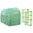 Green polytunnel greenhouse measuring 4m x 2m with transparent windows, paired with a sturdy green racking unit featuring white shelves