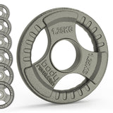 Gray cast iron Olympic tri grip weight plate with textured surface, featuring a central hole and clear weight marking of 1.25KG